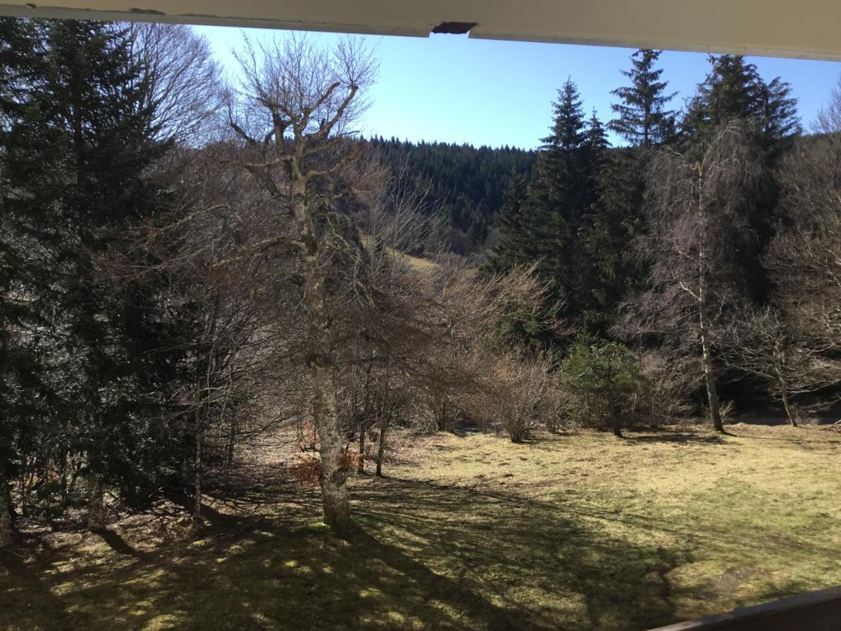 Apartmán Lo Vedelier D'Aubrac Laguiole Exteriér fotografie