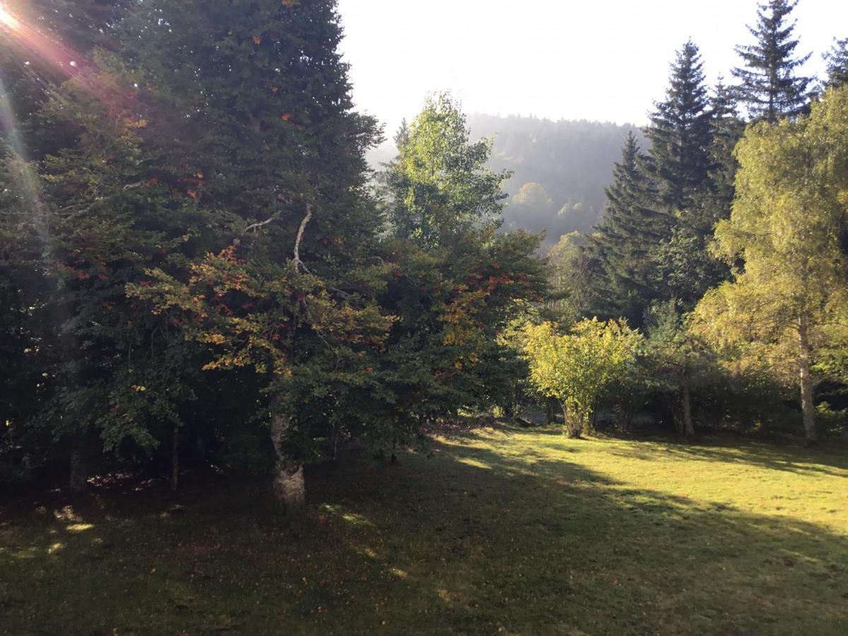 Apartmán Lo Vedelier D'Aubrac Laguiole Exteriér fotografie