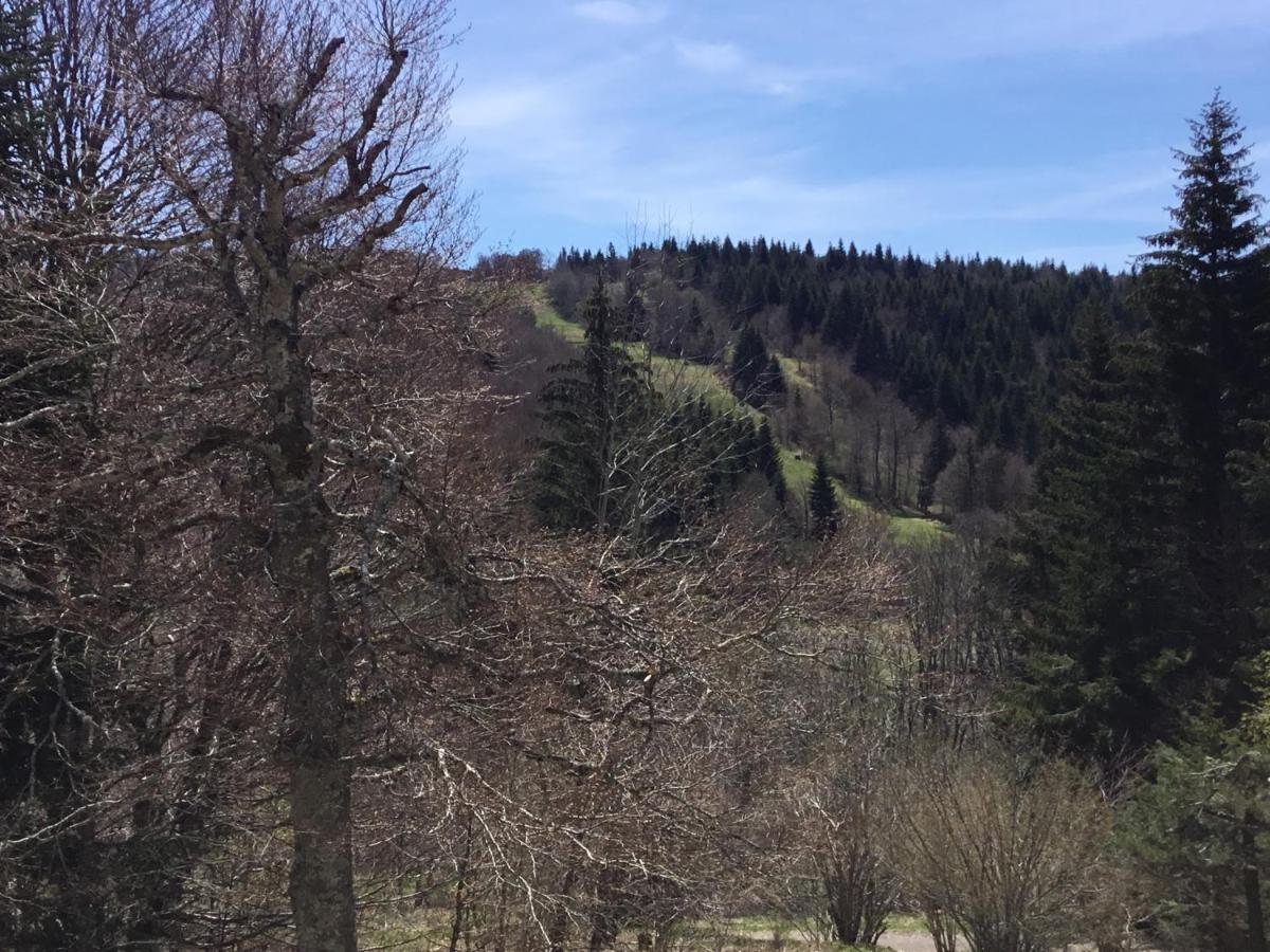 Apartmán Lo Vedelier D'Aubrac Laguiole Exteriér fotografie