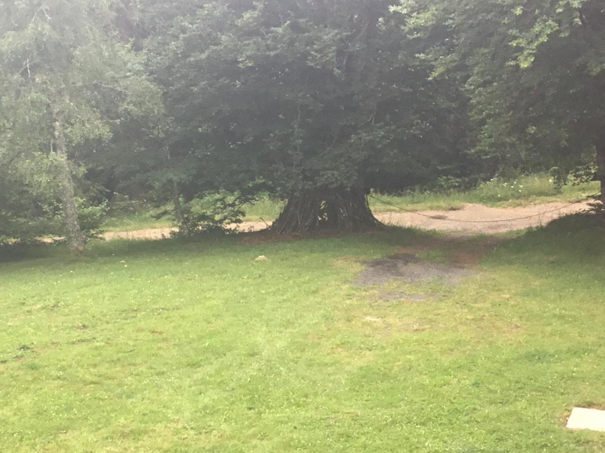 Apartmán Lo Vedelier D'Aubrac Laguiole Exteriér fotografie