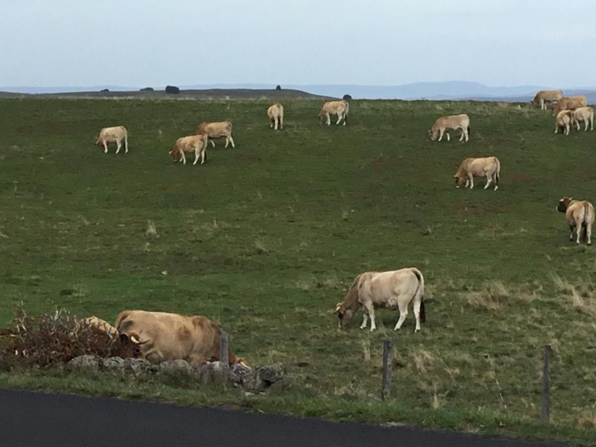 Apartmán Lo Vedelier D'Aubrac Laguiole Exteriér fotografie