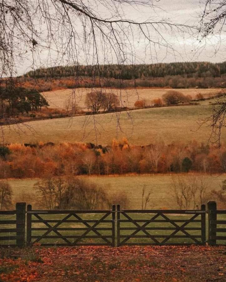 Apartmán Lo Vedelier D'Aubrac Laguiole Exteriér fotografie